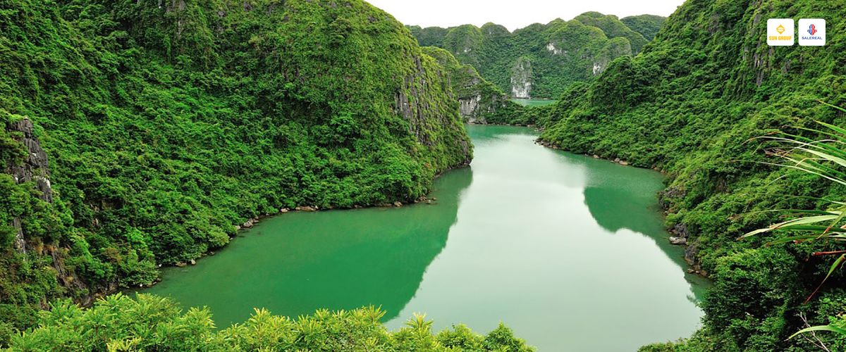 hinh anh vuon quoc gia cat ba