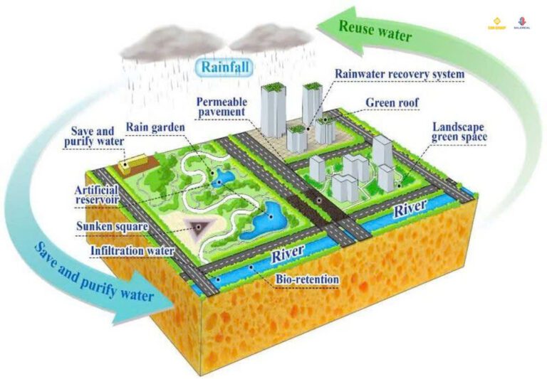 hinh anh minh hoa sponge city